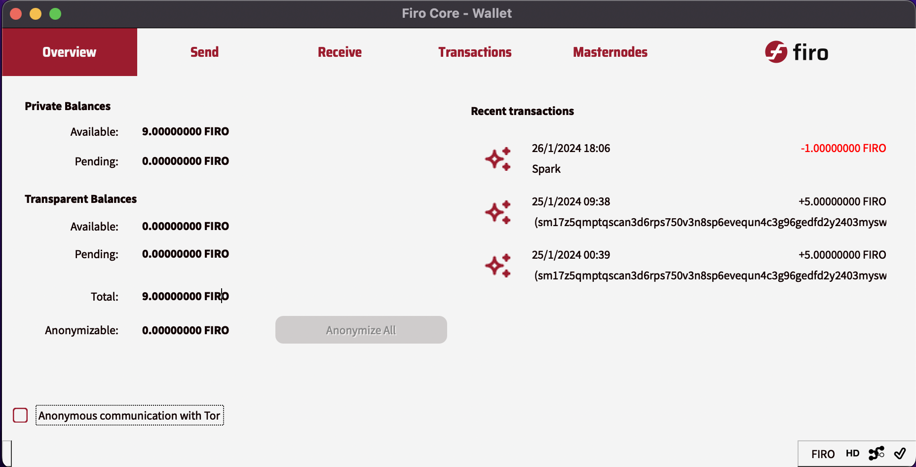 Overview of the wallet